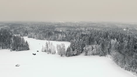 Vuelo-Aéreo-De-Drones-Sobre-Campos-Nevados-Y-árboles-Forestales-Cubiertos-De-Nieve-Durante-El-Cielo-Nublado---Escena-Dramática-De-Invierno-Con-Vista-De-Helicóptero