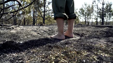 man feet walking barefoot by burned grass after big forest wildfire, ecological disaster, nature destruction, concept sorrow