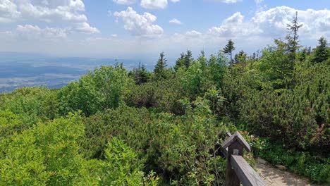 tourist path at babia gora trail in slaskie beskidy, poland