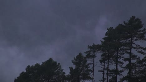 nubes moviéndose detrás de los árboles frente a una montaña en nepal, asia