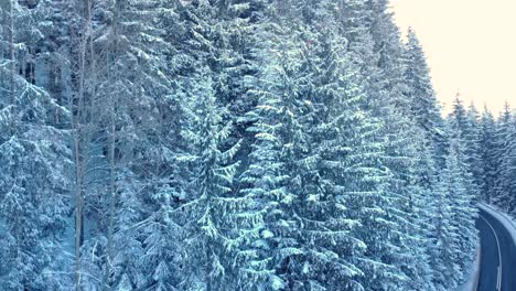 在冬天被雪覆蓋的針葉森林和山路 - 空中上升