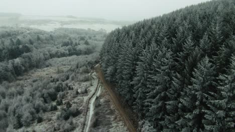 Dron-Que-Revela-Un-Bosque-Cubierto-De-Nieve-Y-Escarcha-En-El-Desierto-Remoto-Del-Bosque-De-Dalby-Lleno-De-árboles-De-Navidad-Confier