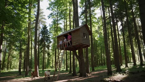 children and goats at a treehouse in a sunlit forest