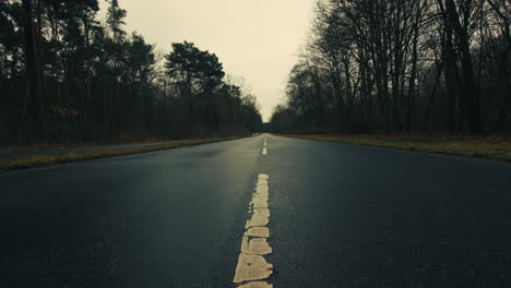 an empty road in a forest of bare trees