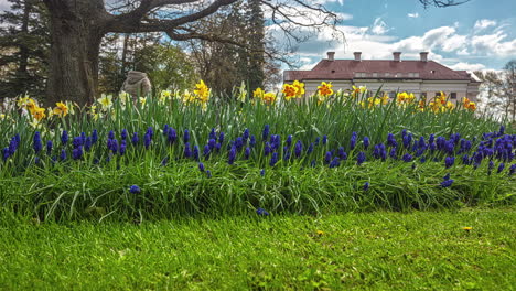 Zeitrafferansicht-Des-Pakruojis-Herrenhauses-In-Litauen-Mit-Gelb-Und-Violett-Blühenden-Blumen