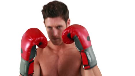 Ernster-Muskulöser-Boxer-Mit-Handschuhen-Beim-Üben