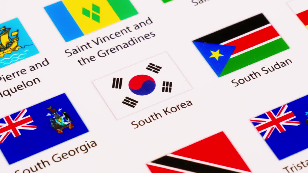 video ilustrativo de las banderas de varios países del mundo