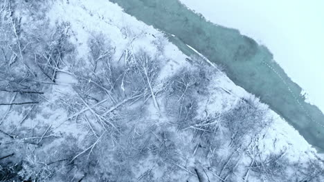 forest and frozen lake in cold winter season, aerial top down view