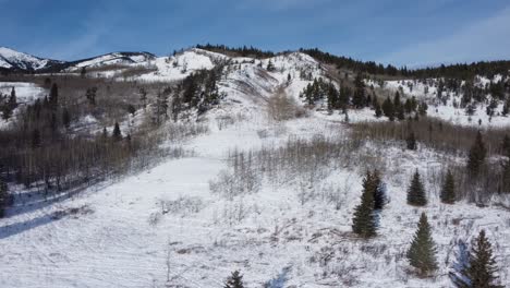 rocky mountains winter forest covered with snow in daytime