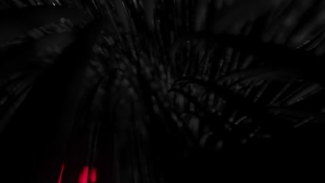 fibra óptica animación de la distribución de la señal de luz de un diodo.