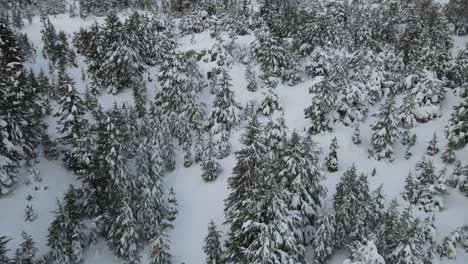 Luftaufnahme-Einer-Verschneiten-Landschaft