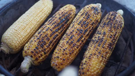 grilled corn on the cob