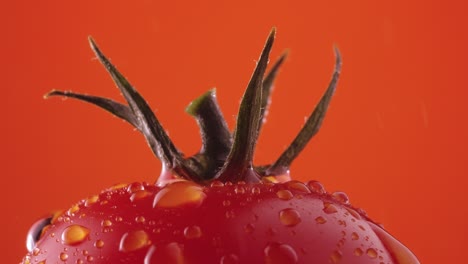 primer plano de un tomate mojado