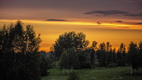 timelapse shot of sparse clouds passing over lush green vegetation during evening time