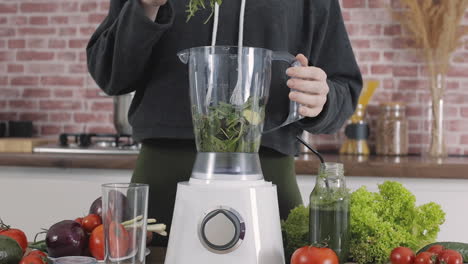 licuadora con verduras, jugo de licuado de desintoxicación para cocinar