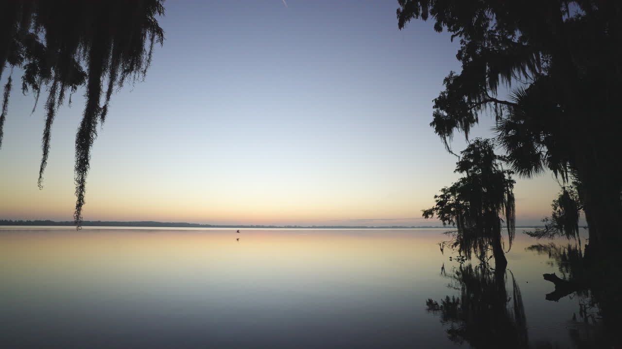 Cypress Tree Moss Lake Dawn Landscape 6