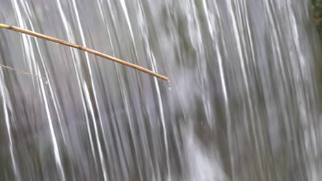 waterdrops from dry stem of plant with water running on the stream in the background