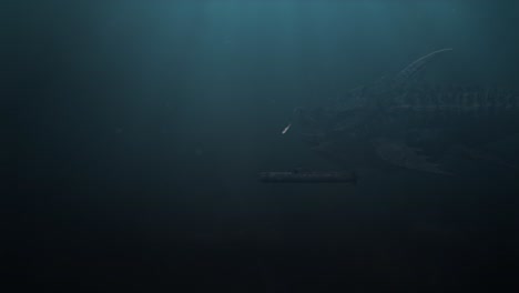 toma submarina de un leviatán masivo de un pez nadando más allá de un submarino