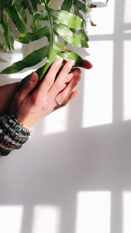 hands with bracelets and plant leaf