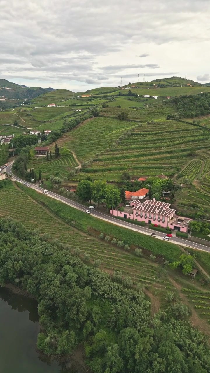 Riprese con drone in avanti sopra vigneti lungo il fiume e dolci colline nella Valle del Douro, Portogallo, che catturano la campagna panoramica, l'agricoltura e il tranquillo paesaggio rurale.