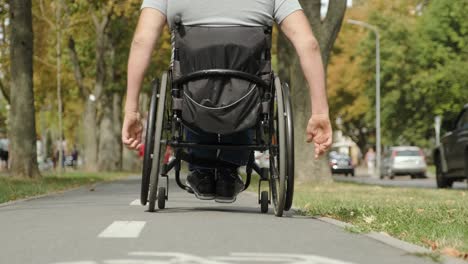 man with disabilities in wheelchair walk at the park alley