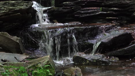 Una-Pequeña-Cascada-En-El-Bosque