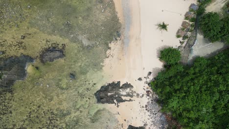 Overhead-View-Of-White-Sand-Foreshore-Of-Puraran-Surf-Beach-Resort-In-Puraran,-Baras,-Catanduanes,-Philippines