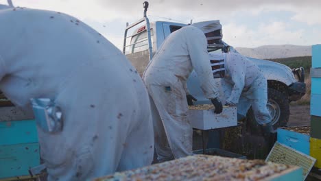 Beekeepers-working-in-rural-bee-yard-wearing-protective-suits,-New-Zealand