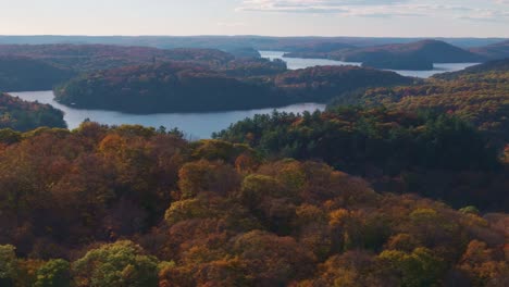 colorful autumn forest with winding rivers and distant hills, aerial view