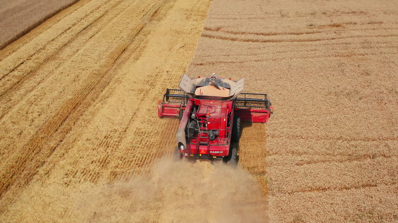 cosechadora combinada cosechando el campo de trigo