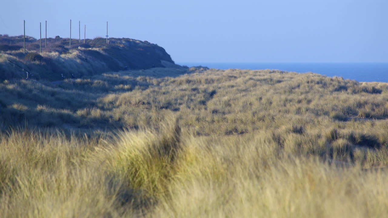 Extra wide shots looking north of the sand dunes and Marram grass at Caister on Sea