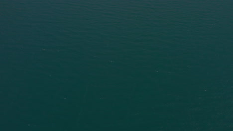 Aerial-reveal-shot-of-a-windy-day-at-lake-Garda-and-people-having-fun-with-water-sports