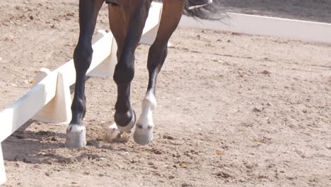 nahaufnahme von beinen eines braunen pferdes, das bei einem reitwettbewerb auf sand trottet