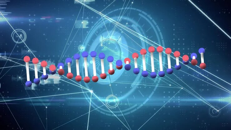 Animation of dna strand over data processing and network of connections