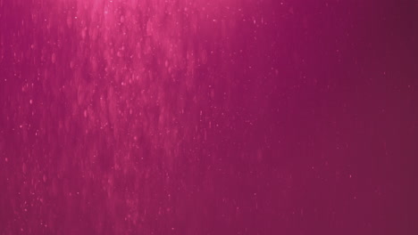 partículas abstractas rosadas y púrpuras