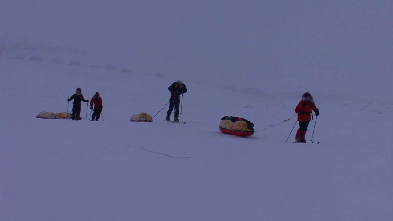 북극 탐험대가 물품을 견인하는 크로스컨트리 스키를 타고 얼어붙은 툰드라를 횡단합니다 1