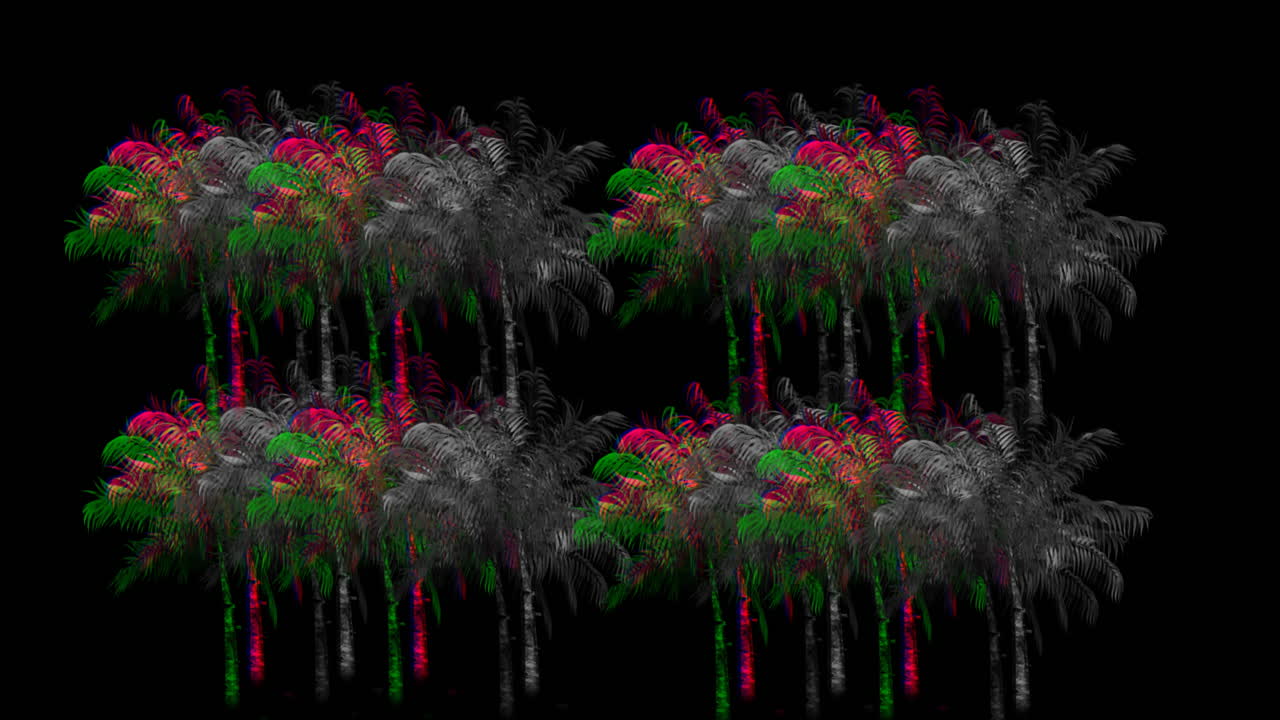 palmeras coloridas y monocromáticas 4k