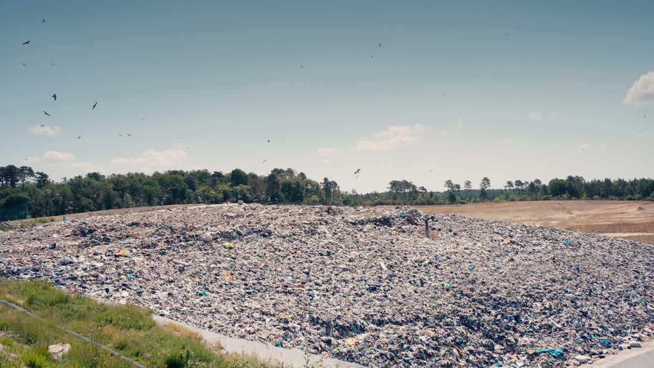 vista panorámica de un vertedero con aves en busca de comida