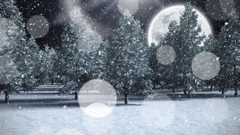 Animation-of-snow-falling-over-trees-at-night-with-full-moon-at-christmas-time