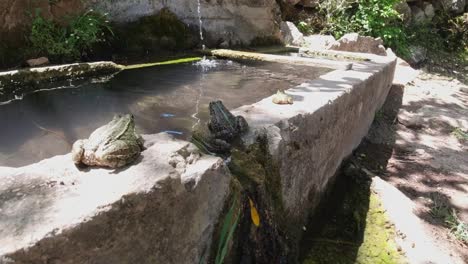 Agua-Que-Gotea-De-Una-De-Las-Fuentes-De-Agua-En-Sillyon,-Una-Antigua-Ciudad-Situada-En-La-Provincia-De-Antalya,-Turquía