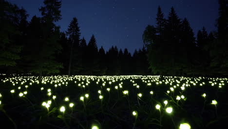 field of glowing plants under a starry night sky