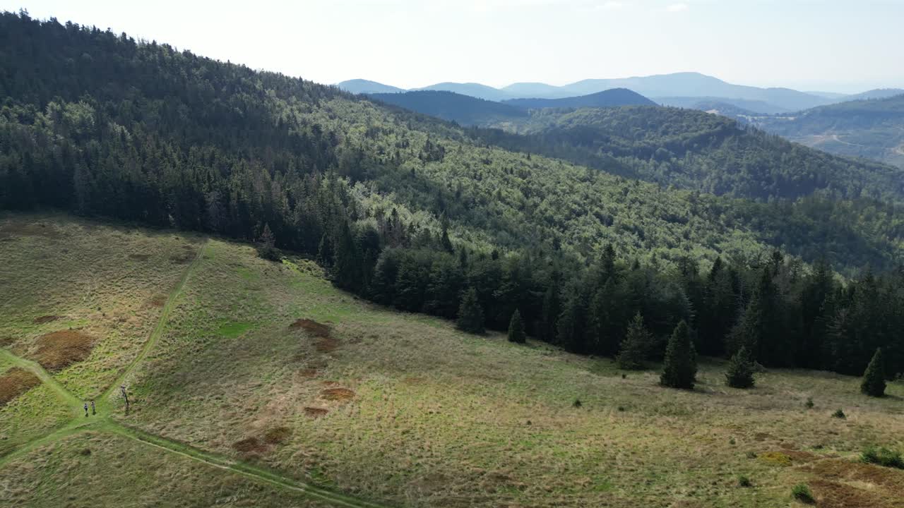 hermoso paisaje de montaña durante un día de verano con picos de montañas, bosque, vegetación exuberante y árboles