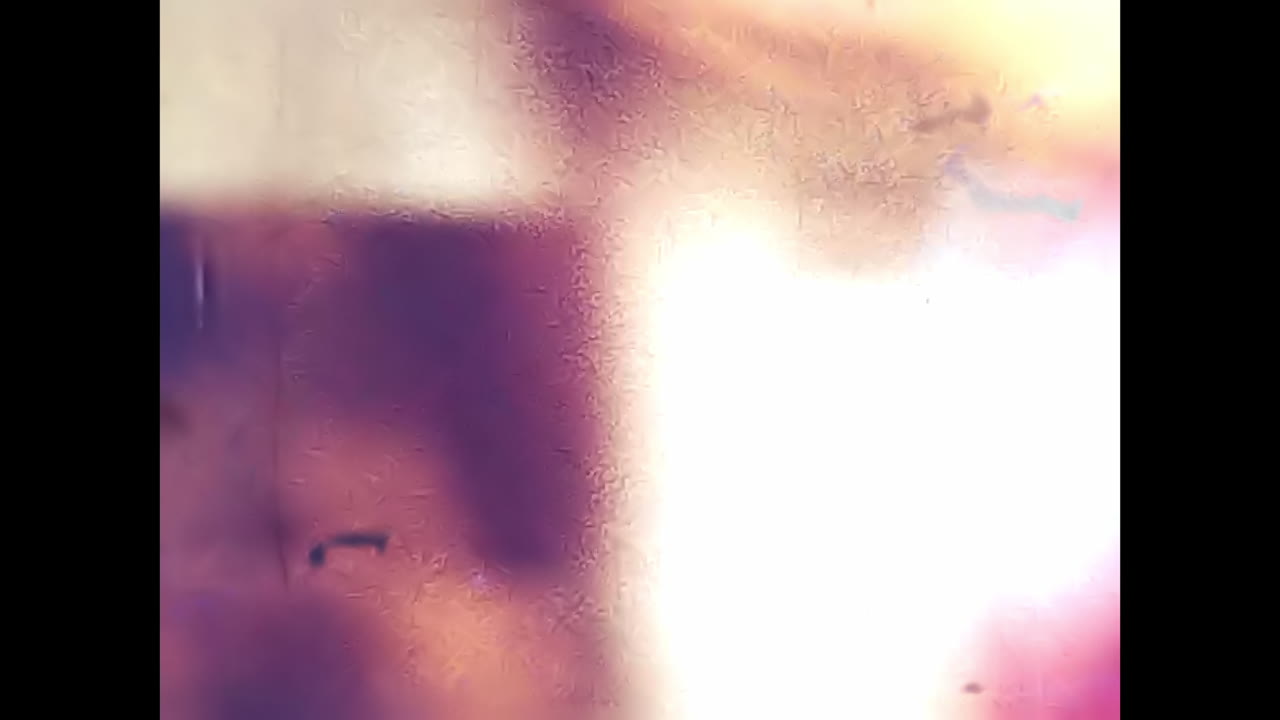 Gathering of Soviet People in the Archive of the USSR. CIRCA USSR 1980s: A group of people standing together in an archive, representing the diverse faces of Soviet Unions population.