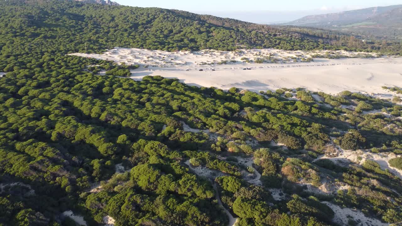 calle entre las dunas de valdevaqueros, video de avión no tripulado