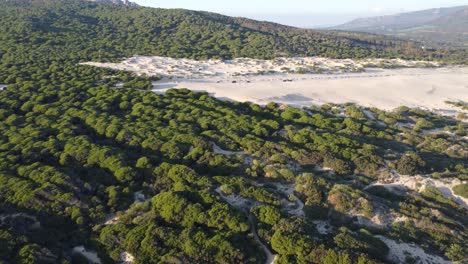 street in between the dune of valdevaqueros, drone video