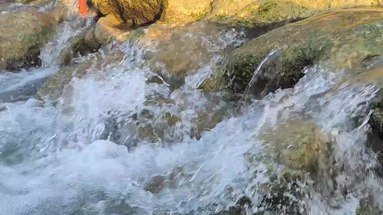 Acqua limpida che scorre su rocce muschiose in un ruscello