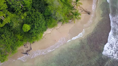 Top-down-view-of-blonde-girl-walking-on-beach-with-waves