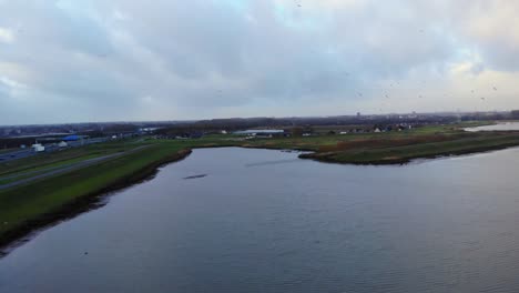 Aerial-View-Of-Birds-Flying-Above-Crezeepolder-Nature-Reserve-At-Ridderkerk-In-Netherlands