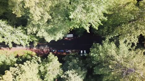 parque nacional de redwood con carretera y estacionamiento, vista de pájaros, descenso aéreo