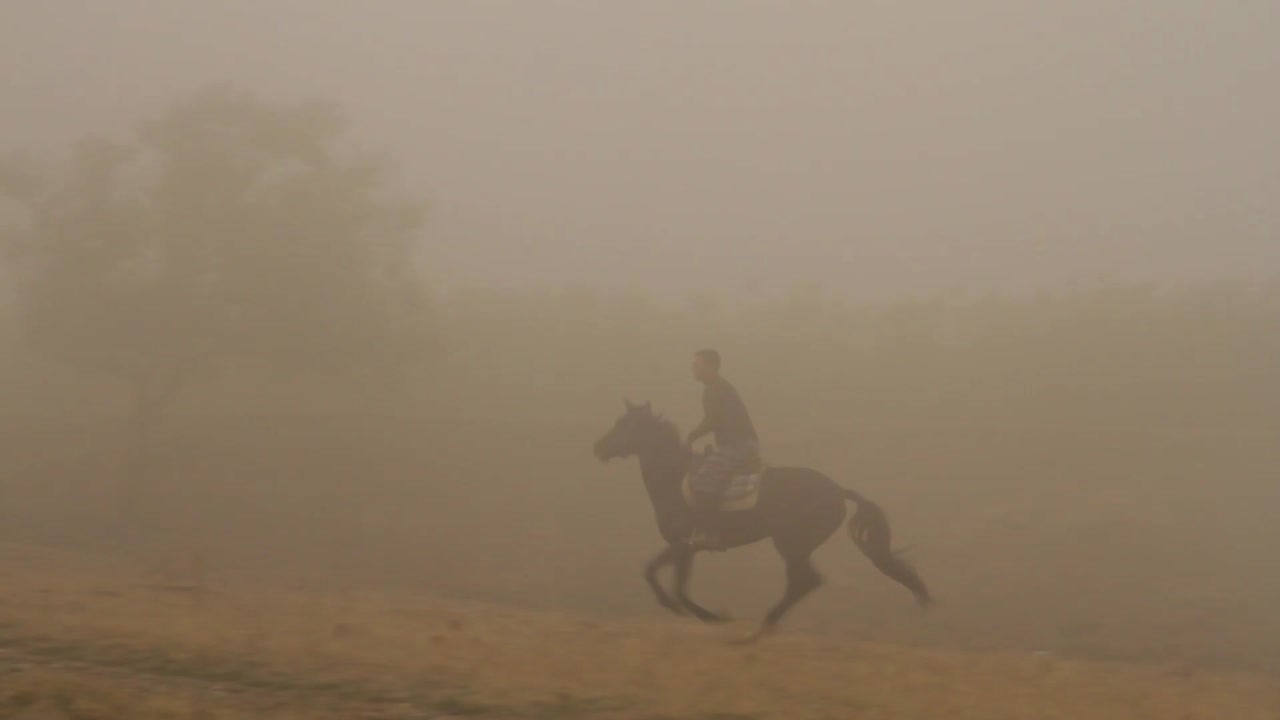 hombre a caballo en la densa niebla